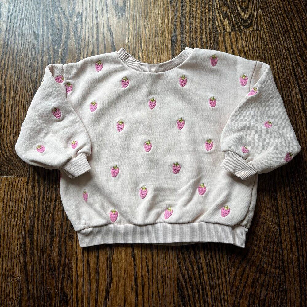 Zara Strawberry Embroidered Sweatshirt (2Y)